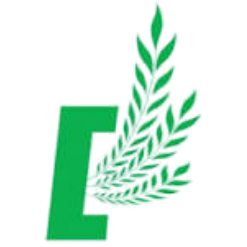 Logo PT Excel Meg Indo